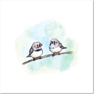 Zebra Finches Posters and Art